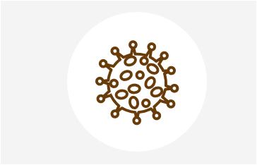 Coronavirus SARS-CoV-2: Información y protocolos asistenciales