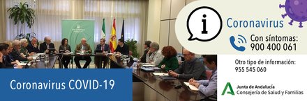 Información sobre COVID-19 de la Consejería de Salud y Familias de la Junta de Andalucía Coronavirus
